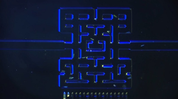 Vedci vytvorili pre mikroorganizmy prostredie, ktoré simuluje známu hru Pac-Man