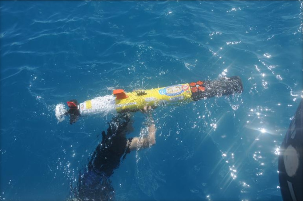 Remus na sonar-výskum morského dna