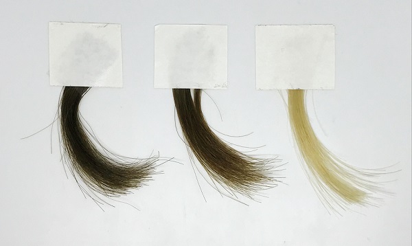 Vzorky vlasov nafarbené farbou na vlasy so syntetickým melanínom.