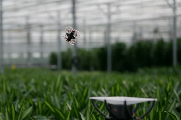 Dron PATS-X vyráže z doku, aby rozsekal lietajúci hmyz v skleníku.