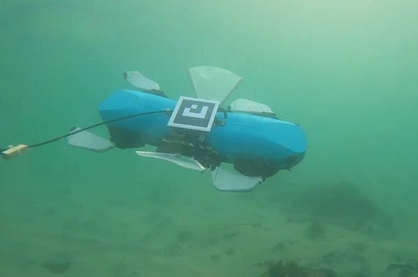 Podvodný robot HERO-BLUE pláva pomocou predných a zadných multimodálnych plutiev, spolu s bočnými plutvami v strede.