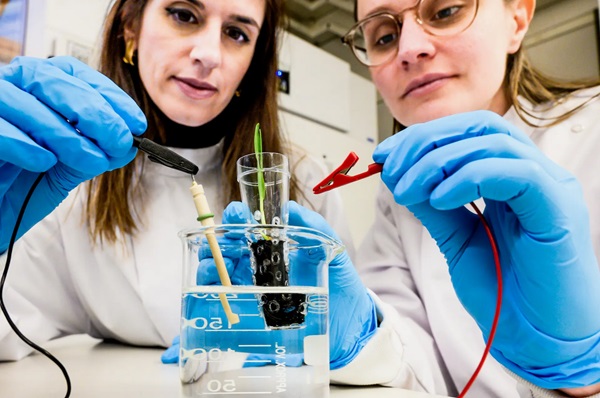 Docentka Eleni Stavrinidouvová (vľavo) a doktorandka Alexandra Sandéhnová pripájajú eSoil k nízkoenergetickému elektrickému zdroju na stimuláciu rastu rastlín.