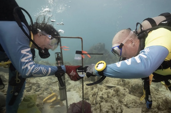 Biológovia Nadège Aoki (vľavo) a Aran Mooney pracujú s larvami koralov v zajatí na študijnom mieste na Amerických Panenských ostrovoch.