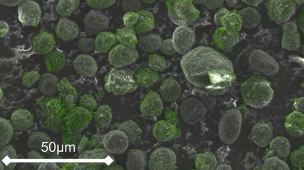 Snímka grafitových mikročastíc z elektrónového mikroskopu. Zelená farba označuje povlak oxidu kremičitého.