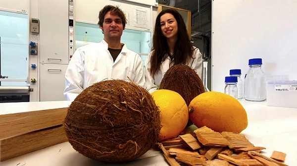 Výskumníci skombinovali modifikované drevo s molekulami získanými z citrónov a kokosových orechov, aby vytvorili stavebný materiál schopný uchovávať a uvoľňovať tepelnú energiu.