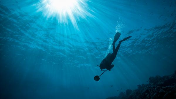 Boxfish je 360 stupňová kamera určená pre nakrúcanie záberov pod vodnou hladinou