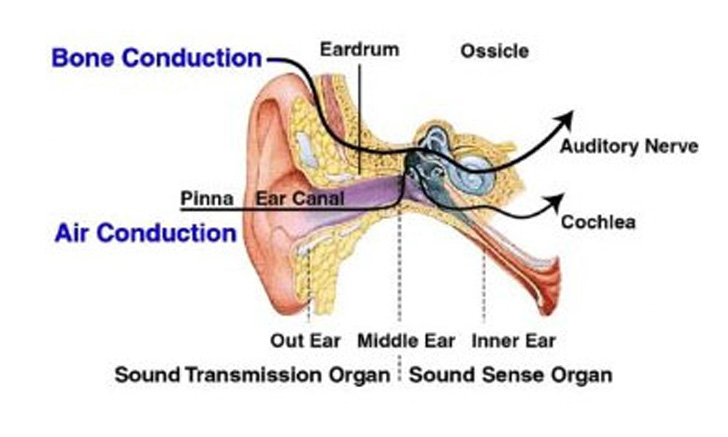 Princíp fungovania vedenia zvuku metódou "Bone conduction"