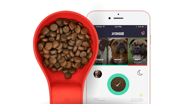 Lyžica YaDoggie Scoop poslúži ako dávkovač granúl pre psa a zároveň používateľovi zašle informáciu, že jeho miláčik už dostal najesť.