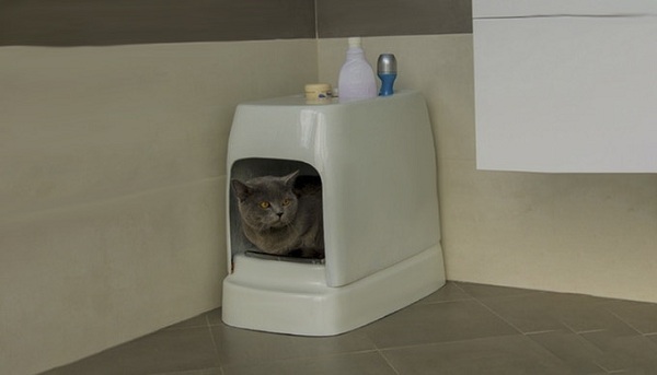 Catolet: Automatický splachovací záchod pre mačky a malých psov