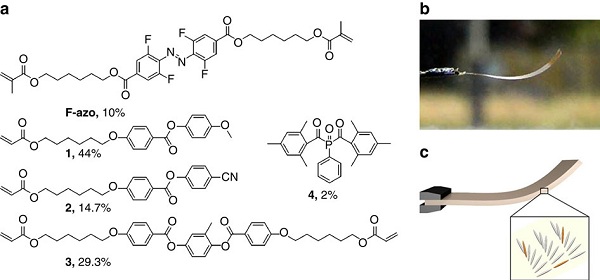 Vedci vyvinuli tenký polymérový materiál, ktorý sa vplyvom molekúl azofarbív dokáže pod svetlom ohýbať a naťahovať