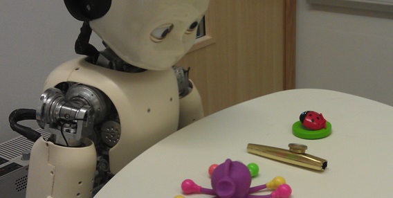 Roboti iCub sa počas štúdie správali rovnako ako malé deti