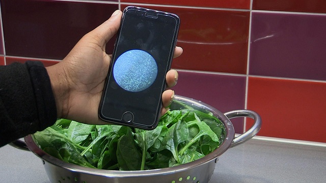 Nástroj spojený so smartfónom deteguje baktérie v jedle a vode